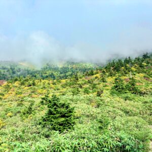 自然,風景,八甲田山,日本百名山,青森県,山,登山,