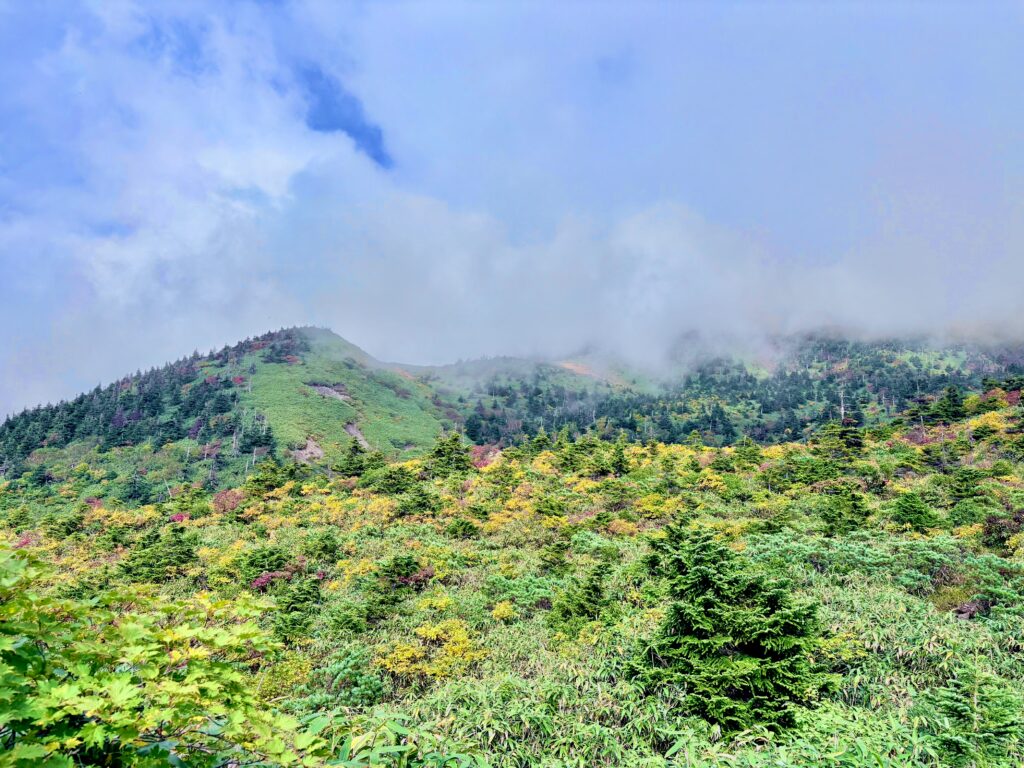 自然,風景,八甲田山,日本百名山,青森県,山,登山,