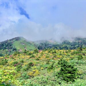 自然,風景,八甲田山,日本百名山,青森県,山,登山,