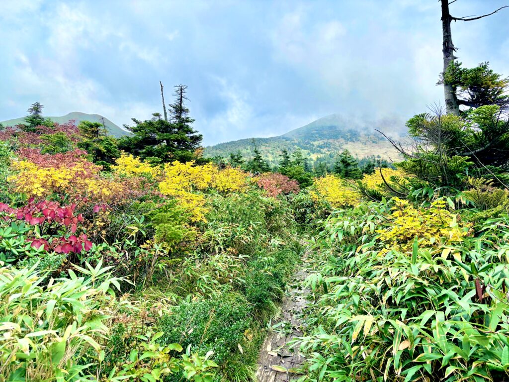 自然,風景,八甲田山,日本百名山,青森県,山,登山,
