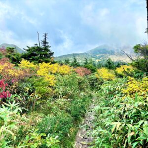 自然,風景,八甲田山,日本百名山,青森県,山,登山,