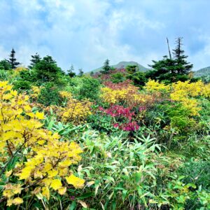 自然,風景,八甲田山,日本百名山,青森県,山,登山,