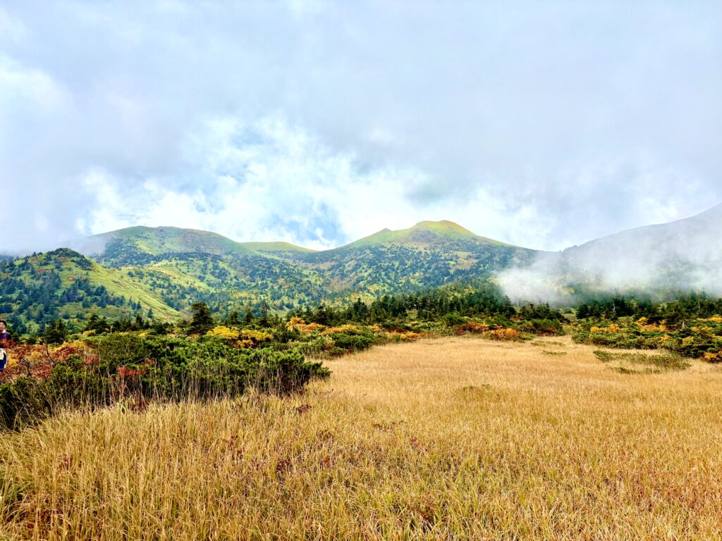 草紅葉,毛無岱,酸ヶ湯温泉,紅葉,