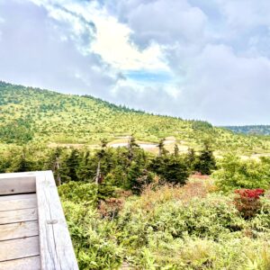 草紅葉,毛無岱,酸ヶ湯温泉,紅葉, 自然,風景,八甲田山,日本百名山,青森県,山,登山,