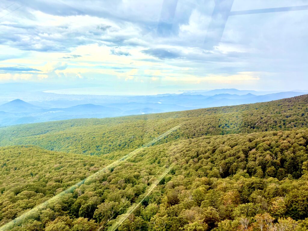 草紅葉,毛無岱,酸ヶ湯温泉,紅葉, 自然,風景,八甲田山,日本百名山,青森県,山,登山,