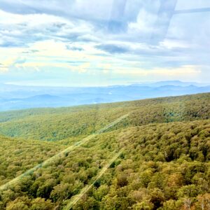草紅葉,毛無岱,酸ヶ湯温泉,紅葉, 自然,風景,八甲田山,日本百名山,青森県,山,登山,