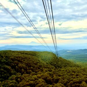 草紅葉,毛無岱,酸ヶ湯温泉,紅葉, 自然,風景,八甲田山,日本百名山,青森県,山,登山,