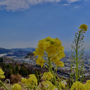 あぐりパーク嵯峨山
