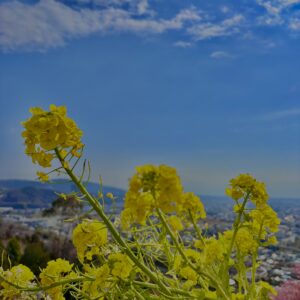 あぐりパーク嵯峨