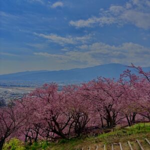 あぐりパーク嵯峨山