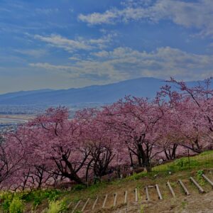あぐりパーク嵯峨山