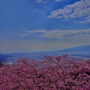 あぐりパーク嵯峨山