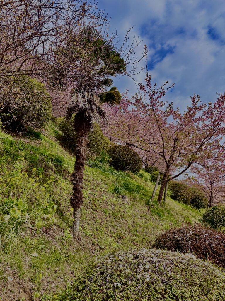 あぐりパーク嵯峨山苑