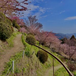 あぐりパーク嵯峨山苑