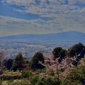 あぐりパーク嵯峨山