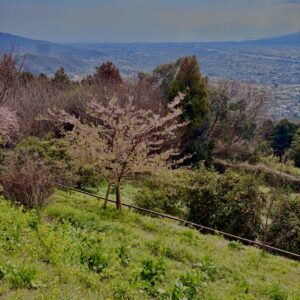 あぐりパーク嵯峨山