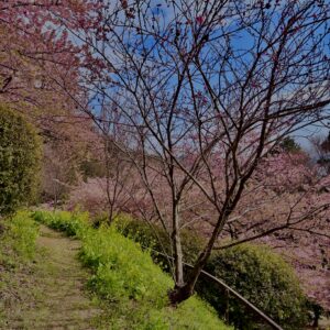 あぐりパーク嵯峨山