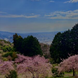 あぐりパーク嵯峨