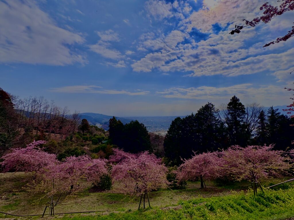あぐりパーク嵯峨山