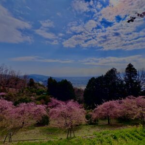 あぐりパーク嵯峨山