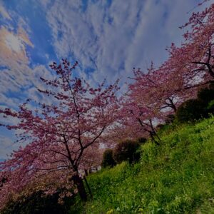 あぐりパーク嵯峨山