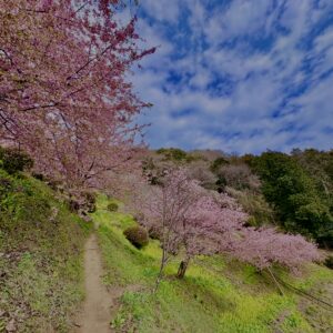 あぐりパーク嵯峨山