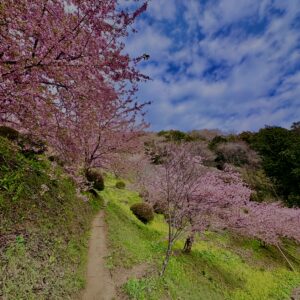 あぐりパーク嵯峨山