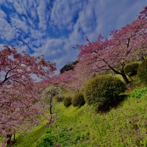 あぐりパーク嵯峨山苑