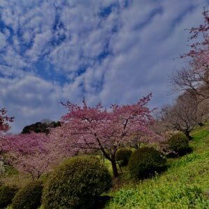 あぐりパーク嵯峨山
