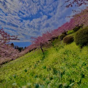 あぐりパーク嵯峨山