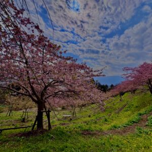 あぐりパーク嵯峨山
