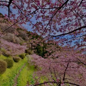 あぐりパーク嵯峨山