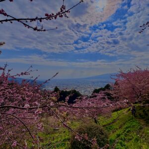あぐりパーク嵯峨山