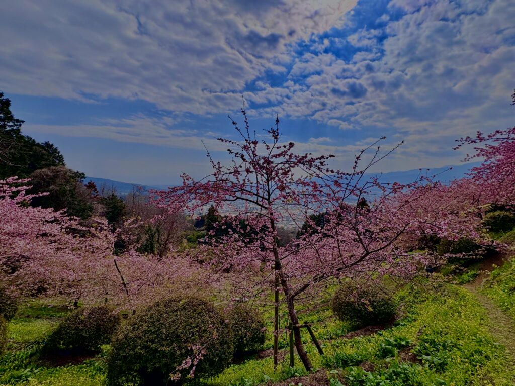 あぐりパーク嵯峨山