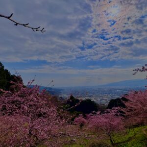 あぐりパーク嵯峨山