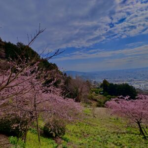 あぐりパーク嵯峨山