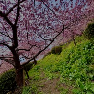 あぐりパーク嵯峨