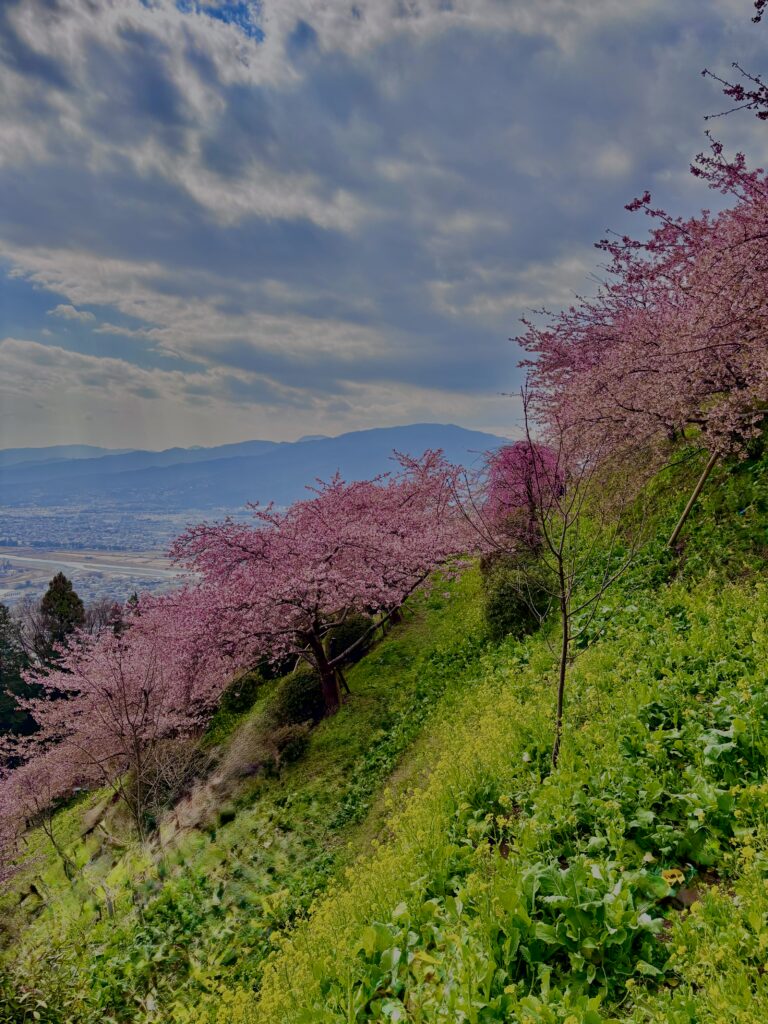 あぐりパーク嵯峨山
