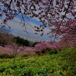 あぐりパーク嵯峨