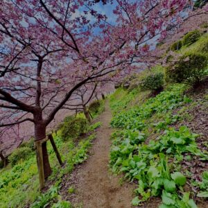 あぐりパーク嵯峨