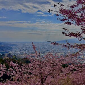 あぐりパーク嵯峨山