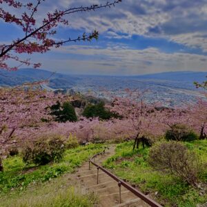 あぐりパーク嵯峨