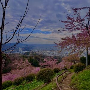 あぐりパーク嵯峨山