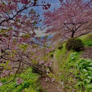 あぐりパーク嵯峨