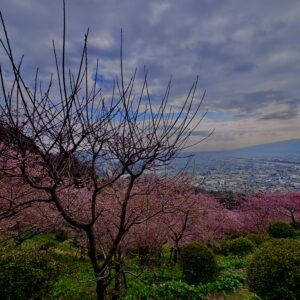 あぐりパーク嵯峨