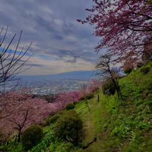 あぐりパーク嵯峨山