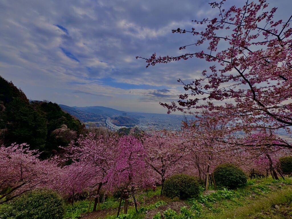 あぐりパーク嵯峨