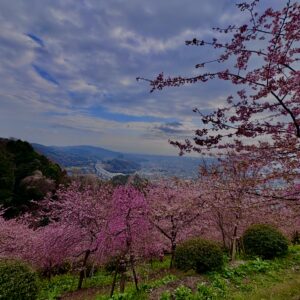 あぐりパーク嵯峨