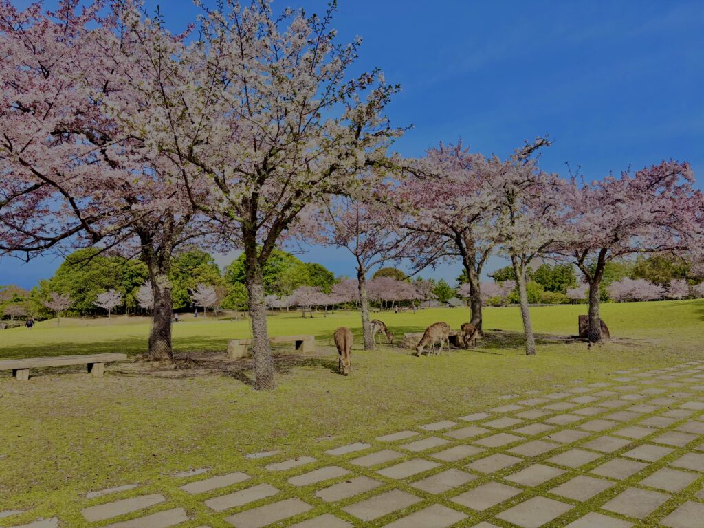 奈良