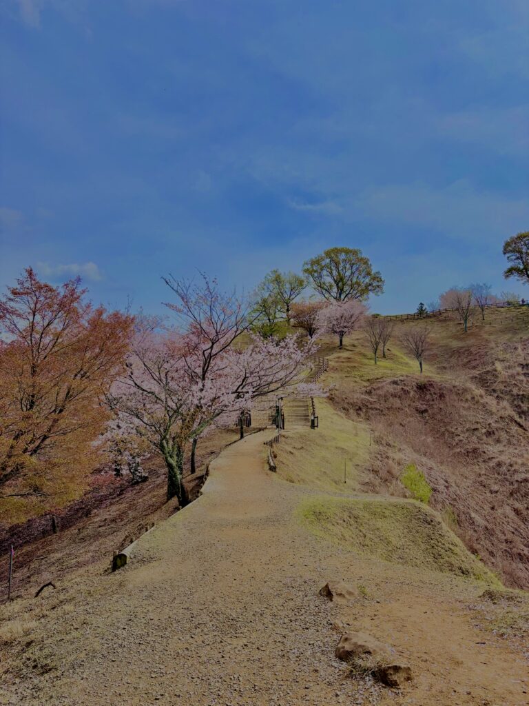 奈良